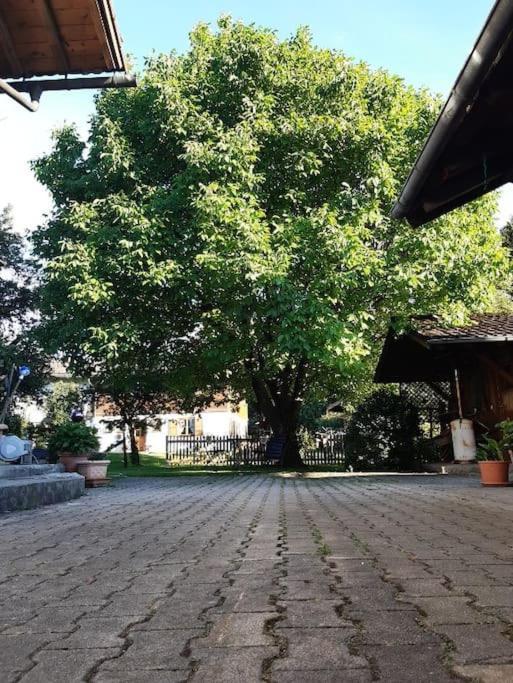 בנדיקטבאורן Apartment Moosblick Zwischen Bergen Und See מראה חיצוני תמונה
