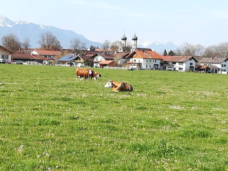 בנדיקטבאורן Apartment Moosblick Zwischen Bergen Und See מראה חיצוני תמונה